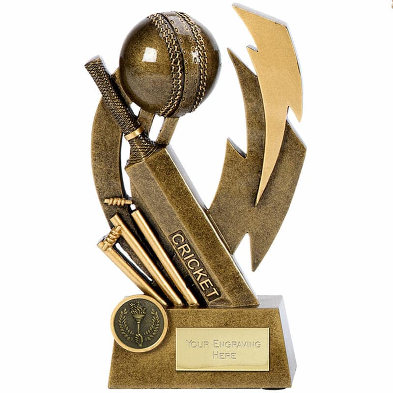 Star Man Of The Match Cricket Award Robert Chapman Presentations